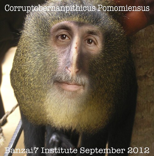 NEW SPECIES DISCOVERED: CORRUPTOBERNANPITHICUS POMOMIENSUS
