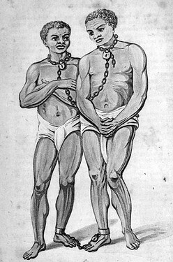 http://www.diaspora.uiuc.edu/news1206/HandlerFig6.jpg