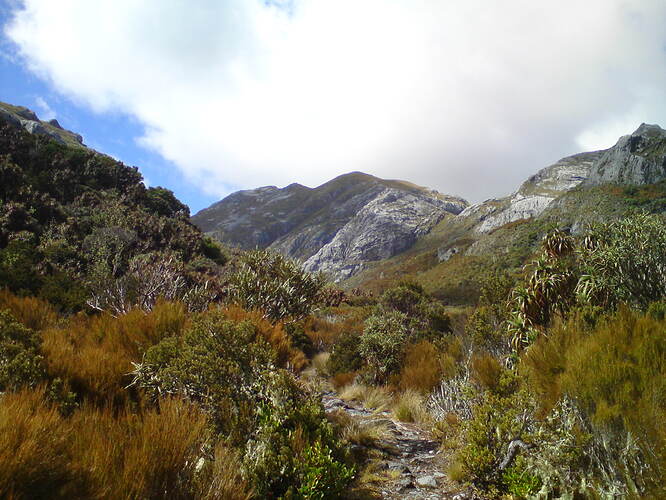 DSC00109.jpg