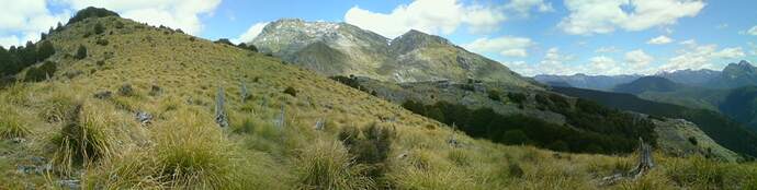 DSC00126.jpg