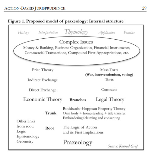 To summarize up to this point, using a simple tree metaphor, the root of praxeology can be derived using the analysis of the actions of an isolated individual—the concept of action and its first implications. The trunk comprises the analysis of interaction with classes of communicative  acts—embordering/claiming and consenting—and accounts of the concept of first appropriation and the possibility of the consensual transfer of property titles. These concepts are logically prior to branching into economic theory and legal theory because the concepts of both branches logically presuppose some account of the root and trunk foundations, even if this is unacknowledged. The transition into branching may be identified with the move from universal features of all action or interaction to axiomatic deductions that are more narrowly specified with increasing factual or contextual assumptions that assure the relevance of analysis to the parameters of the type of world and context being considered.
