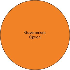GovOption.jpg
