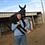 Attackdonkey