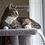 CatLover
