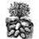 chalcedonite