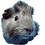 Jose_Kris