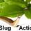 slugmises